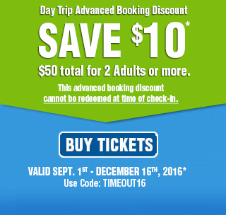 Yankee freedom discount coupons
