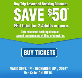 promo coupon
