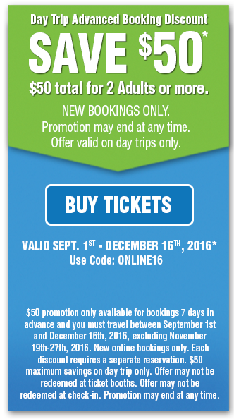 promo coupon
