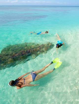 photo of people snorkeling in the dry tortugas Mobile