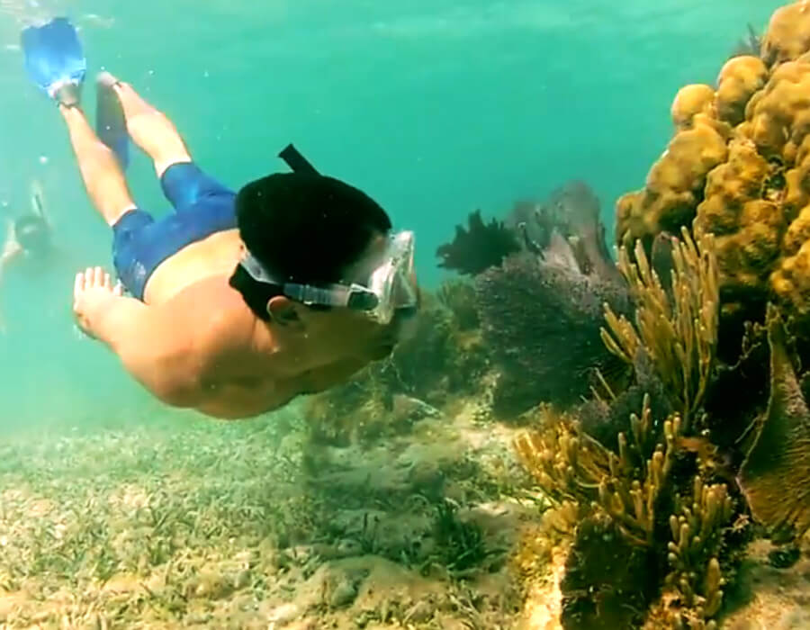 Dry Tortugas National Park Dry Tortugas Ferry Yankee Freedom