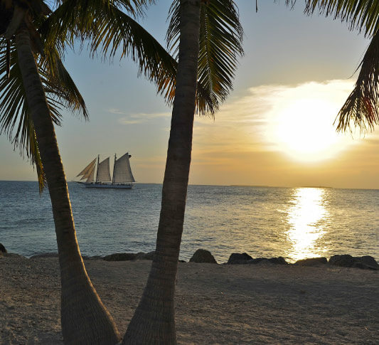 two palm trees swaying in 2 diffrent directions as the sun over Ft. Zachary Beach sets in Key West