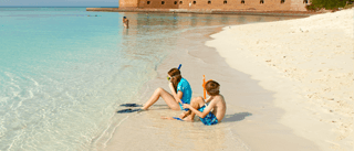 snorkeling at the dry tortugas