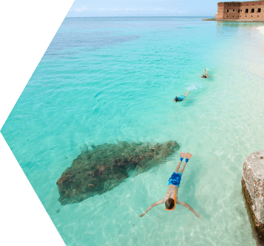 Image of people snorkeling at the Dry Tortugas