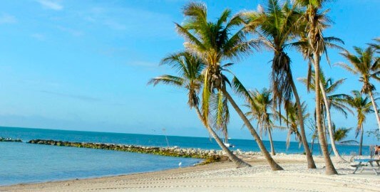 Smathers Beach in Key West met palmbomen op de achtergrond onder blauwe zonnige luchten