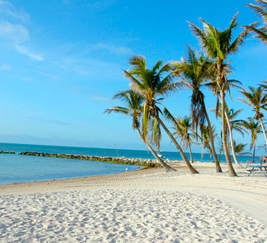 Smathers Beach in Key West with palm trees in the background under blue sunny skies