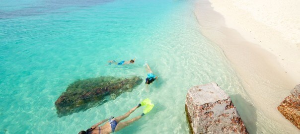 photo of dry tortugas snorkeling