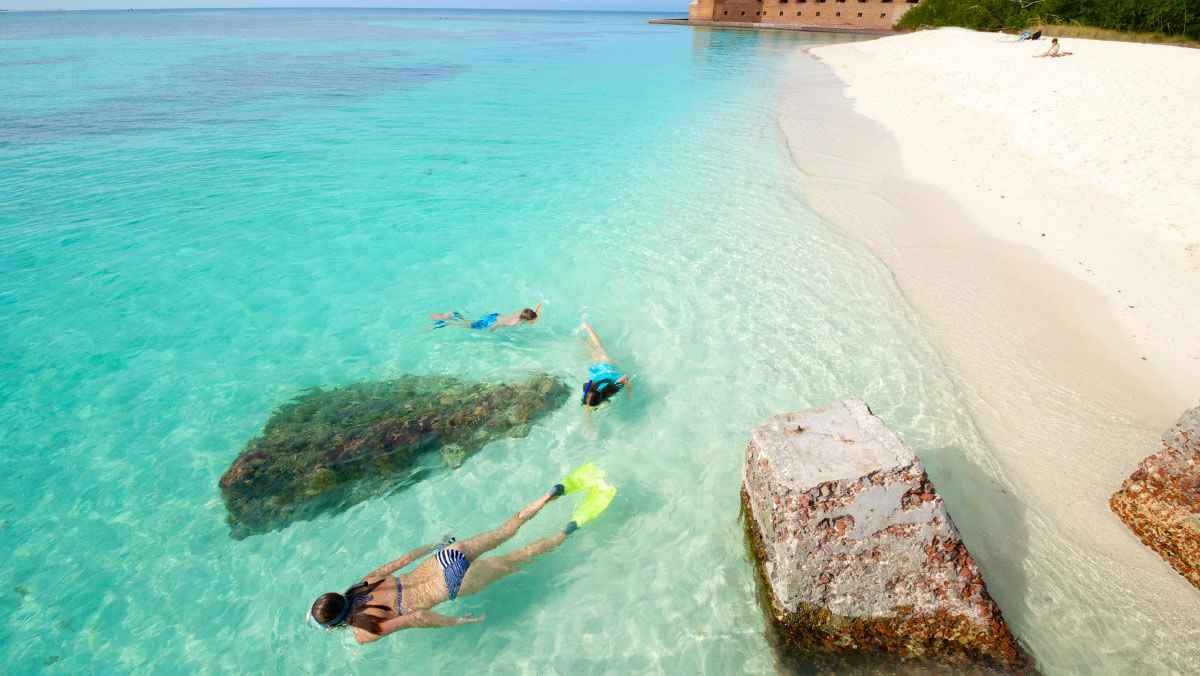 photo of dry tortugas snorkeling