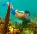 photo of snorkeling at fort jefferson