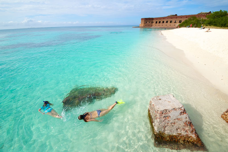 snorkeling at fort jefferson