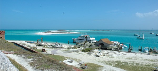 Key West Eco Tours at Dry Tortugas