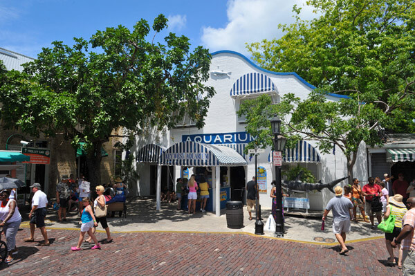 Outside Key West Aquarium