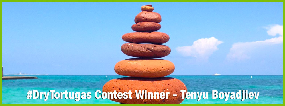 Image of Dry Tortugas Photo Contest November Winner