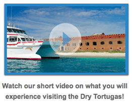 watch video gift certificates