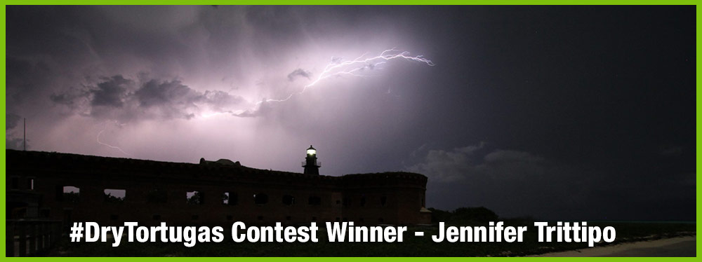 Image of February Dry Tortugas Photo Contest Winner