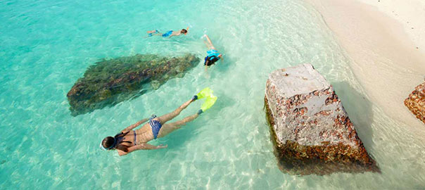 Image of people snorkeling at the Dry Tortugas