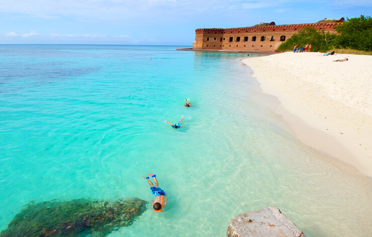 Image of people snorkeling at the Dry Tortugas