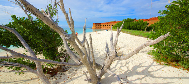 Dry Tortugas