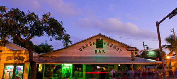 Green Parrot Bar