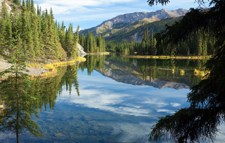 Denali National Park