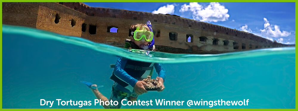 Dry Tortugas January Winner