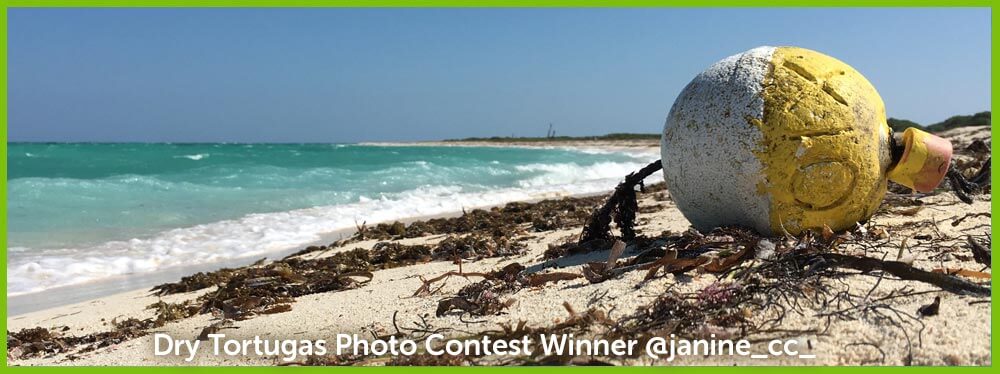 Dry Tortugas December Winner