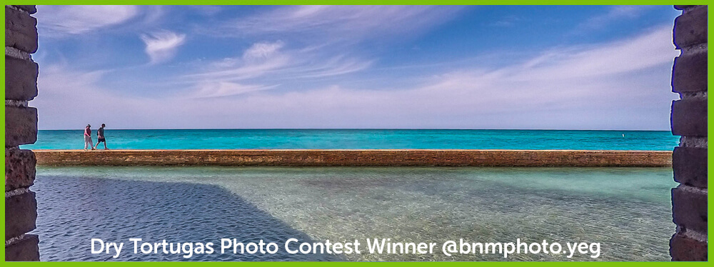 Dry Tortugas Contest February Winner