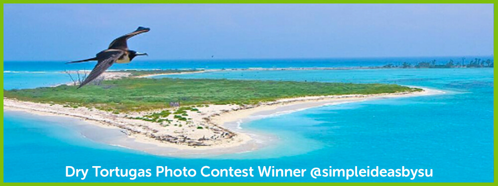 Dry Tortugas Photo Contest June Winner