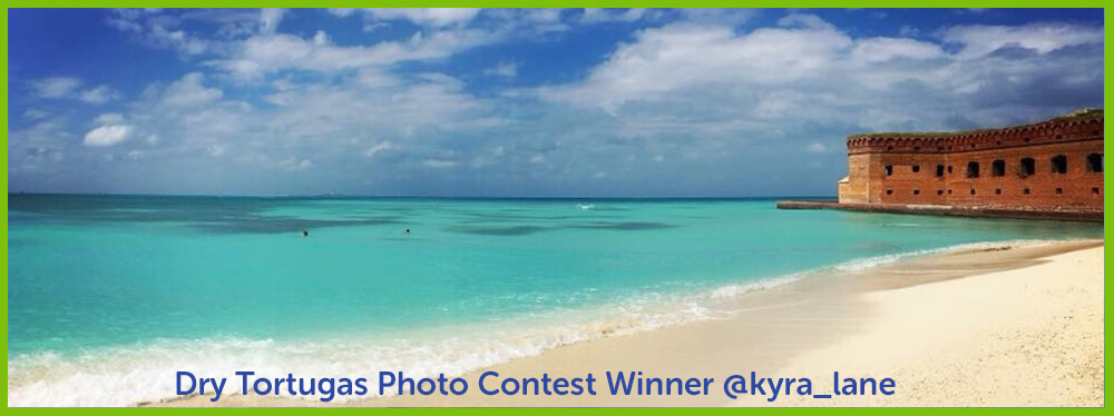 Dry Tortugas Photo Contest January Winner