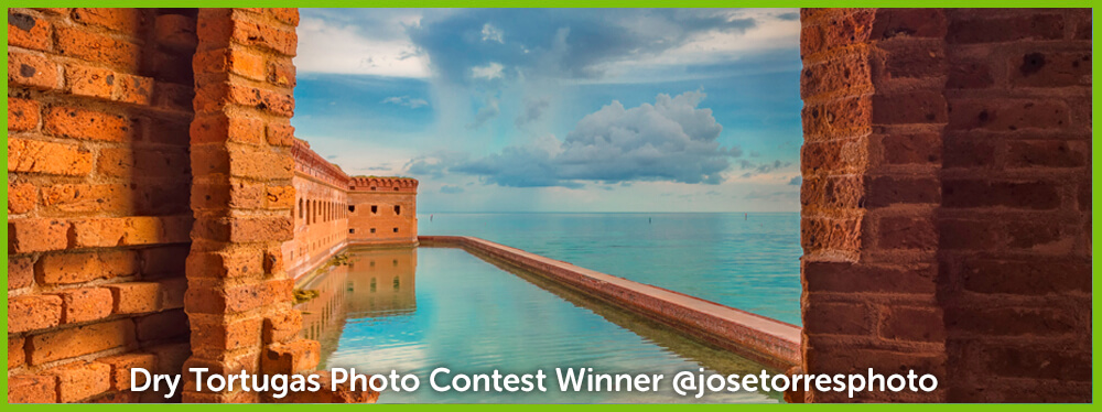 Dry Tortugas Photo Contest February Winner