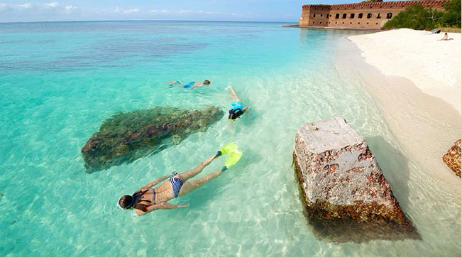 Snorkeling Dry Tortugas Image