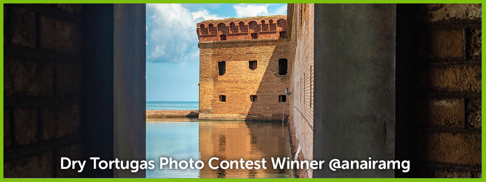 #DryTortugas Photo Contest August Winner