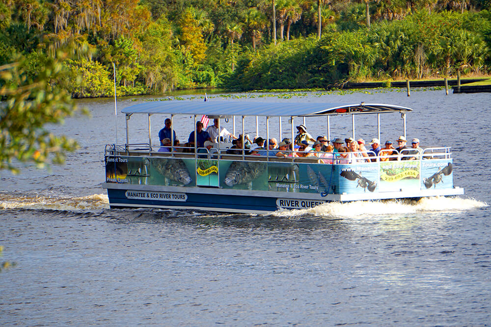 Manatee Eco Boat Tour