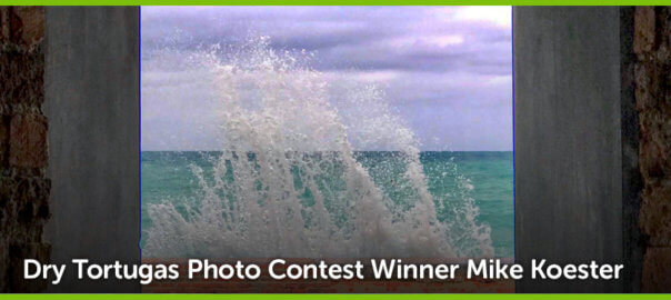 June Winner Dry Tortugas