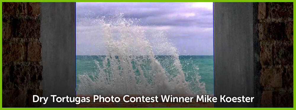 June Winner Dry Tortugas