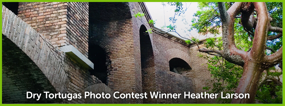 Picture of a portion of Fort Jefferson bricks and exterior, part of a tree and the words 'Dry Tortugas Photo Contest Winner Heather Larson'