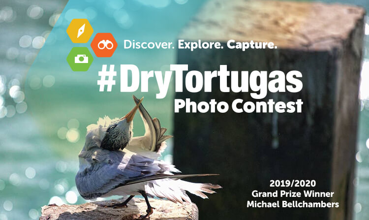 Dry Tortuga photo contest grand prize winner - Michael Bellchambers
