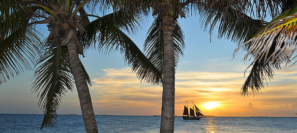 Palm trees, ocean, tall ship and sunset in Key West