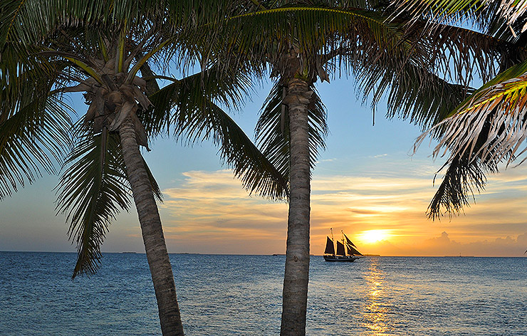 Palm trees, ocean, tall ship and sunset in Key West