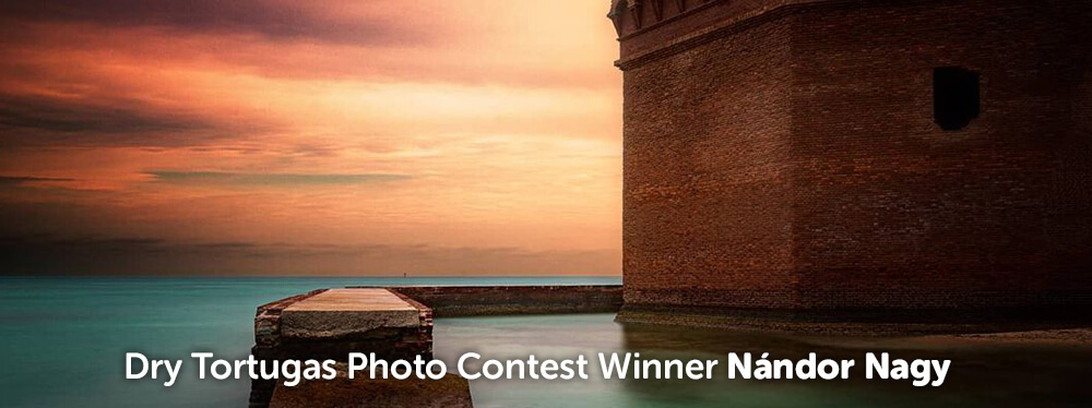 Nandor Nagy's January Winning Photo