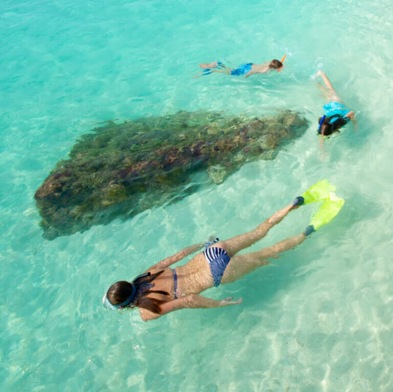 snorkeling at the dry tortugas national park
