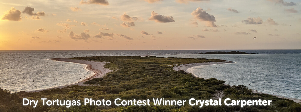 July Winner Crystal Carpenter