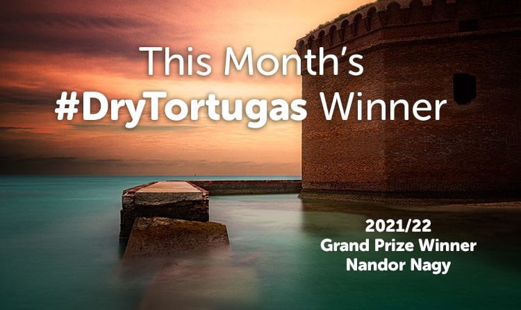 Winning Contest Photo - 2021 Nandor Nagy