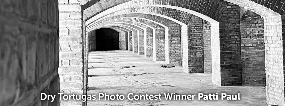 photo contest winning photo february