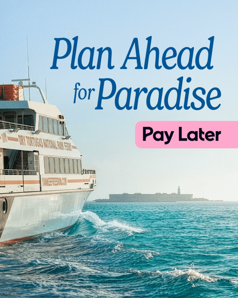 buy now pay later